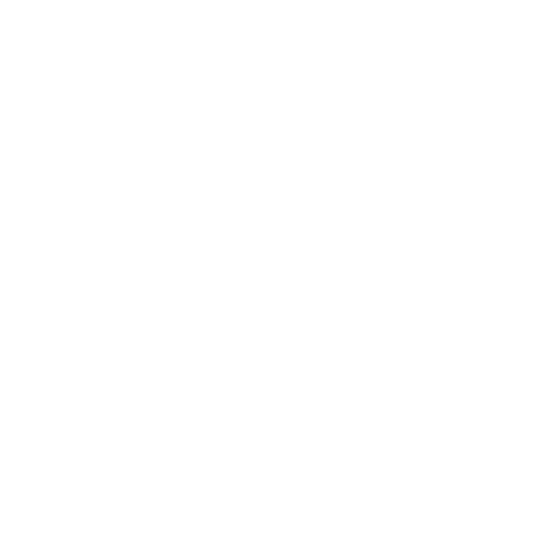 NAVAL GROUP