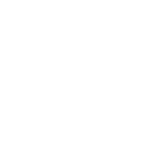 REGION SUD